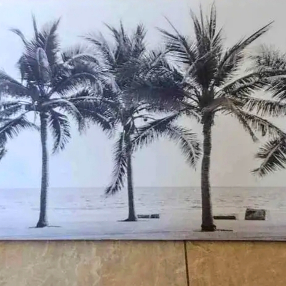 Limited Edition